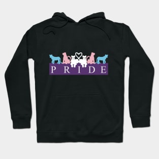 Trans Lion Pride 2 Hoodie